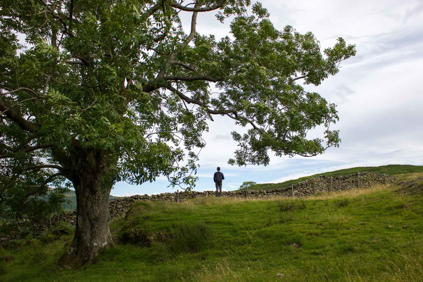 England2016- Rando Ambleside
