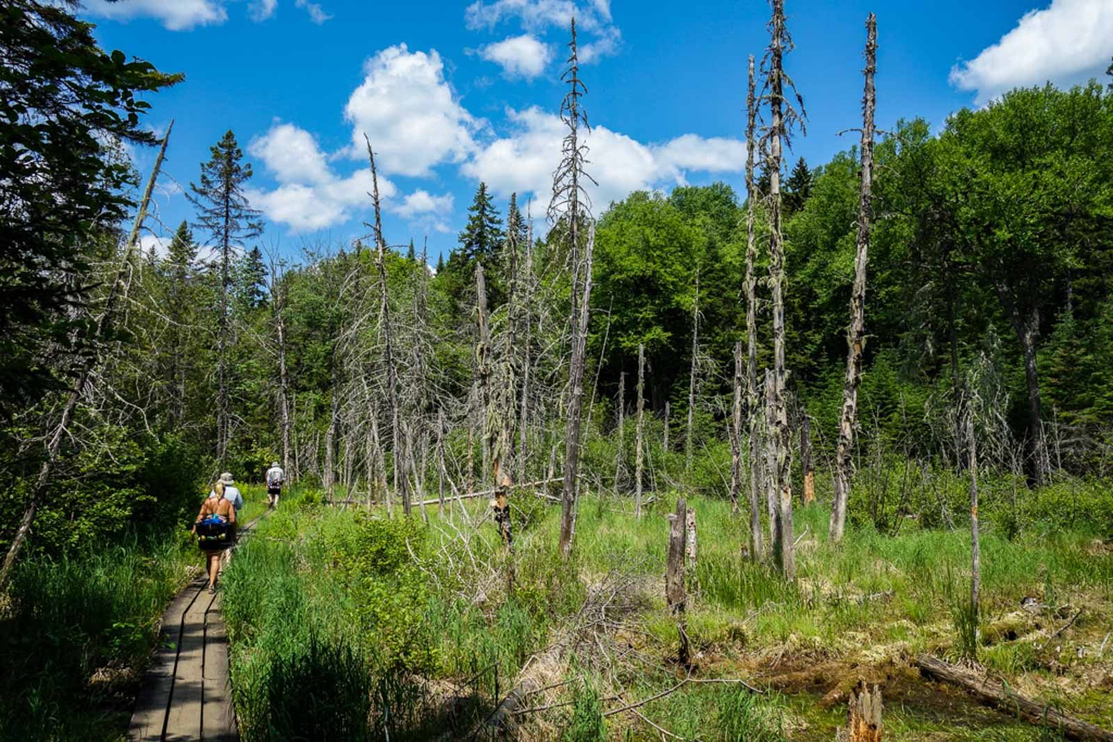 Parc de la Mauricie