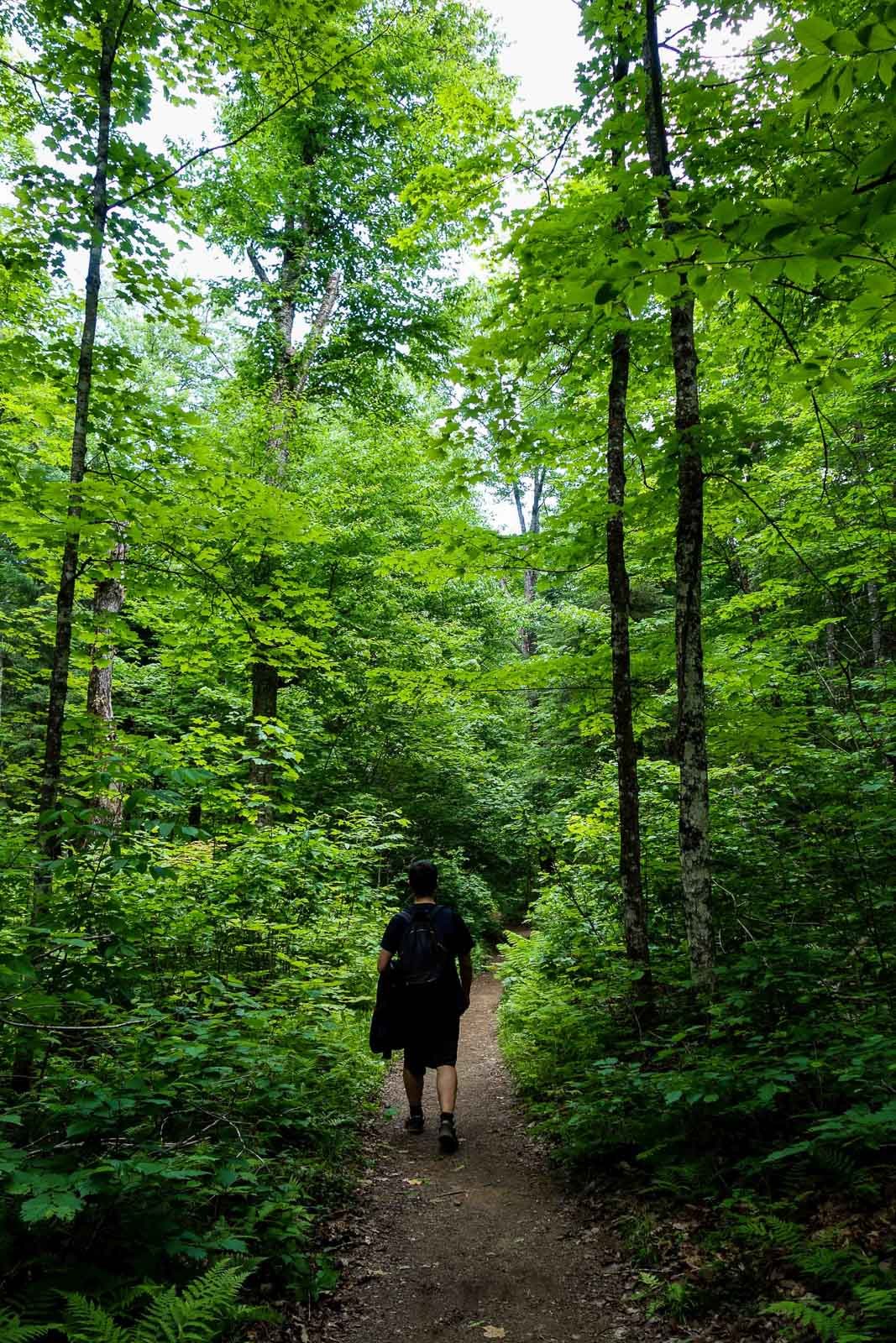 Parc de la Mauricie