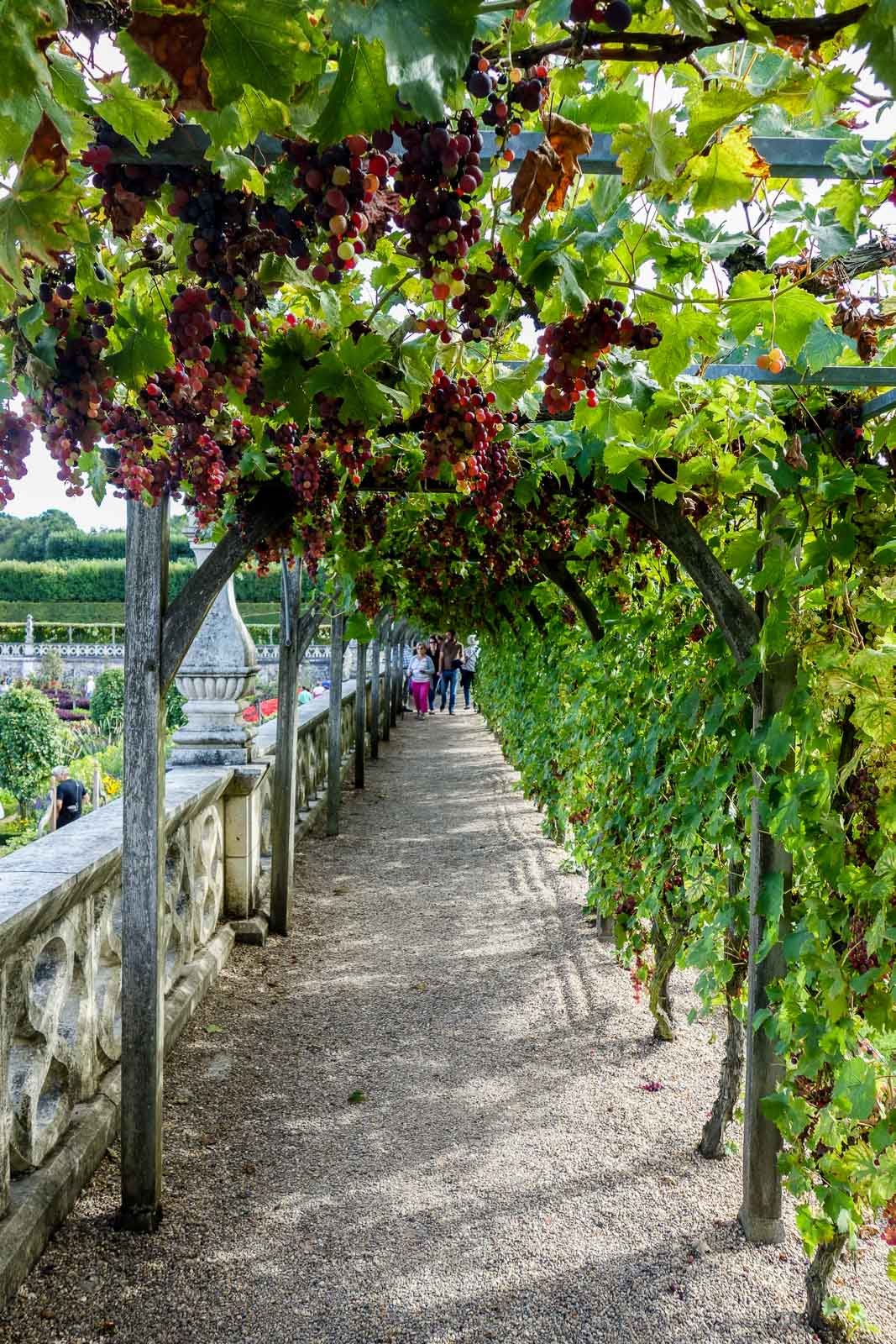 Jardin villandry