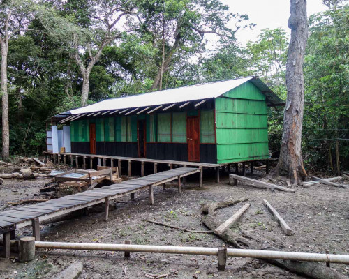 Cabane dans la jungle Bolivienne