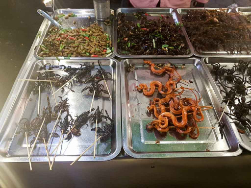 Brochette de serpents et scorpions