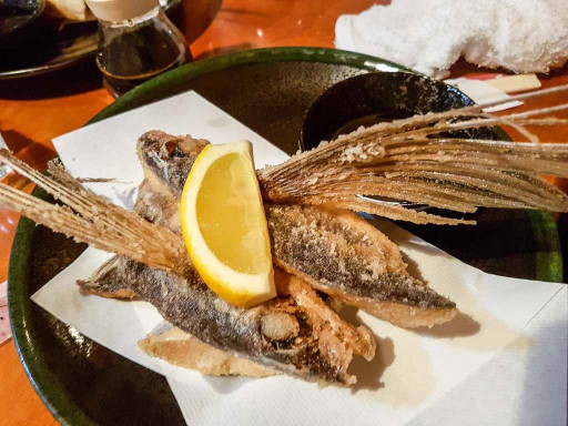 Des poissons volants