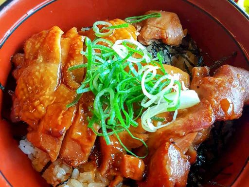 Katsudon